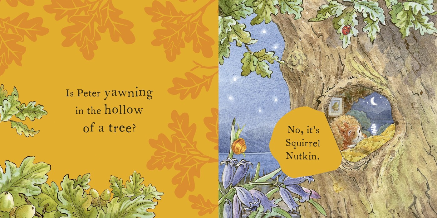 The World of Peter Rabbit: Peter's Bedtime - A Lift-the-Flap Book 4 of 5