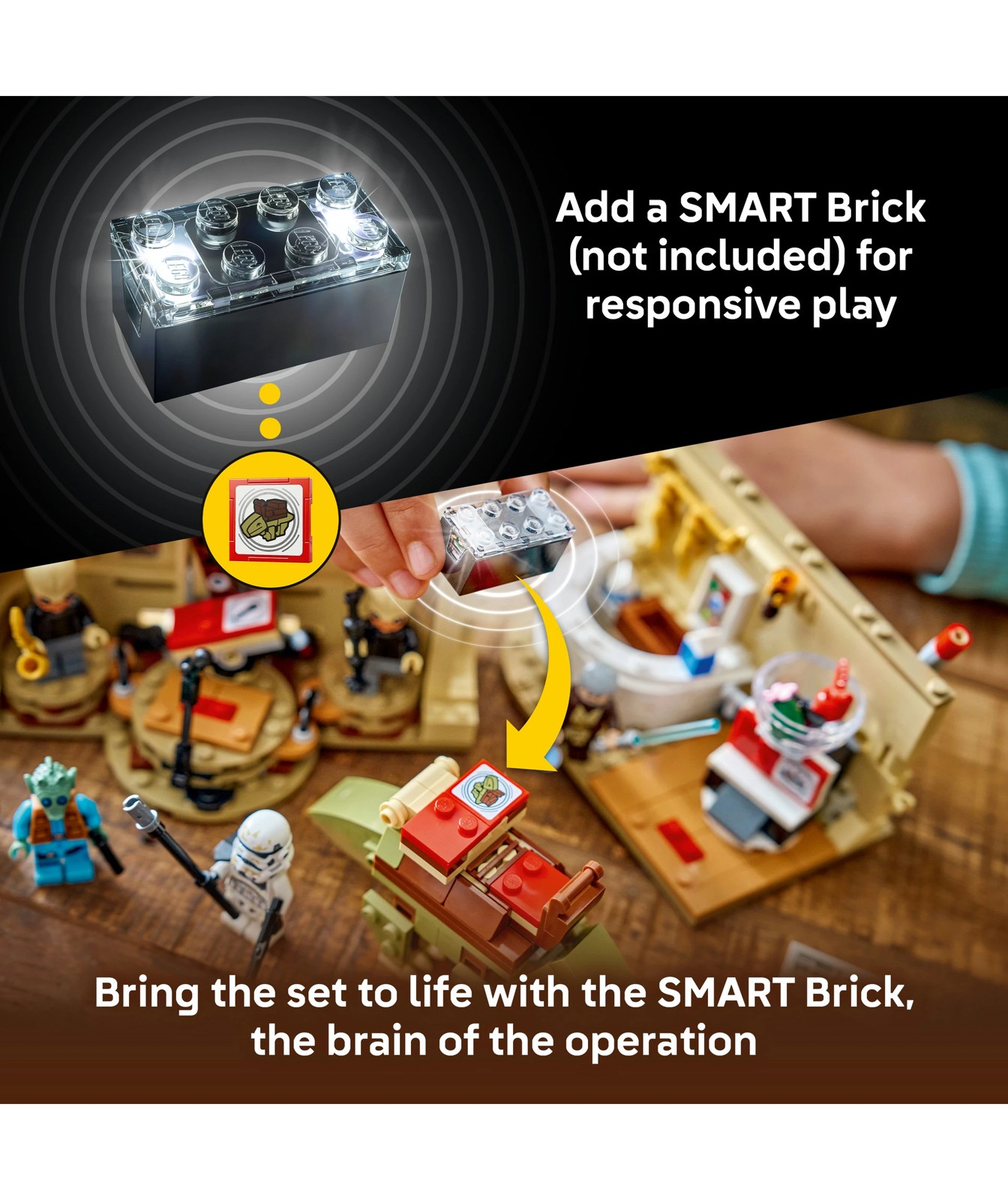 72352168-IMG-75425_05