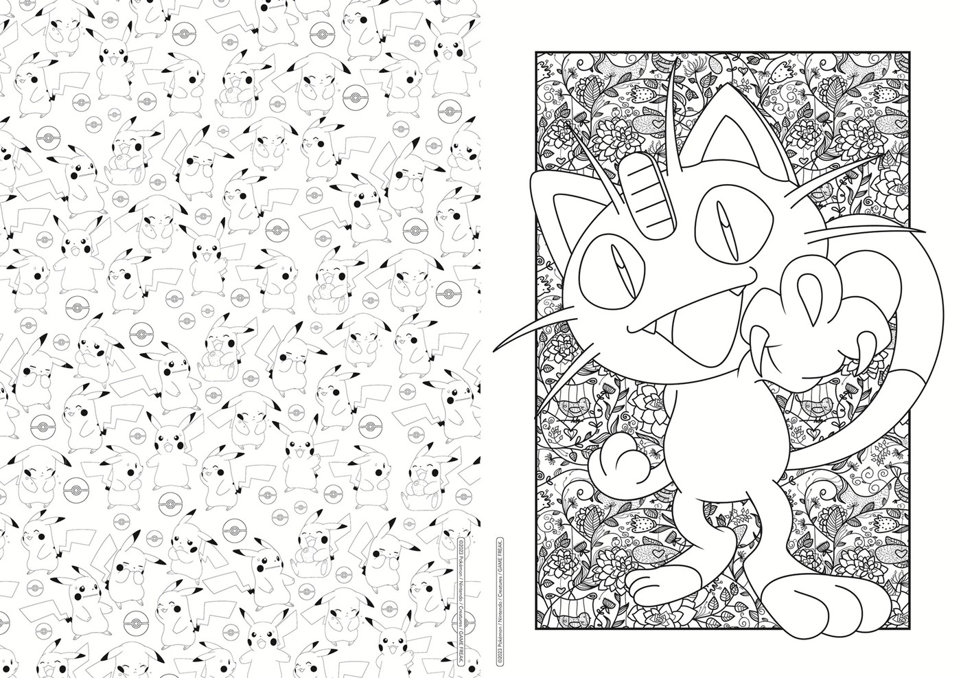 Pokemon: Deluxe Advanced Colouring 4 of 5