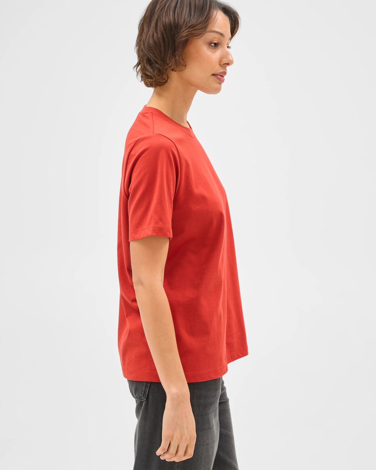 Australian Cotton Classic T-Shirt - Warm Terracotta 4 of 5