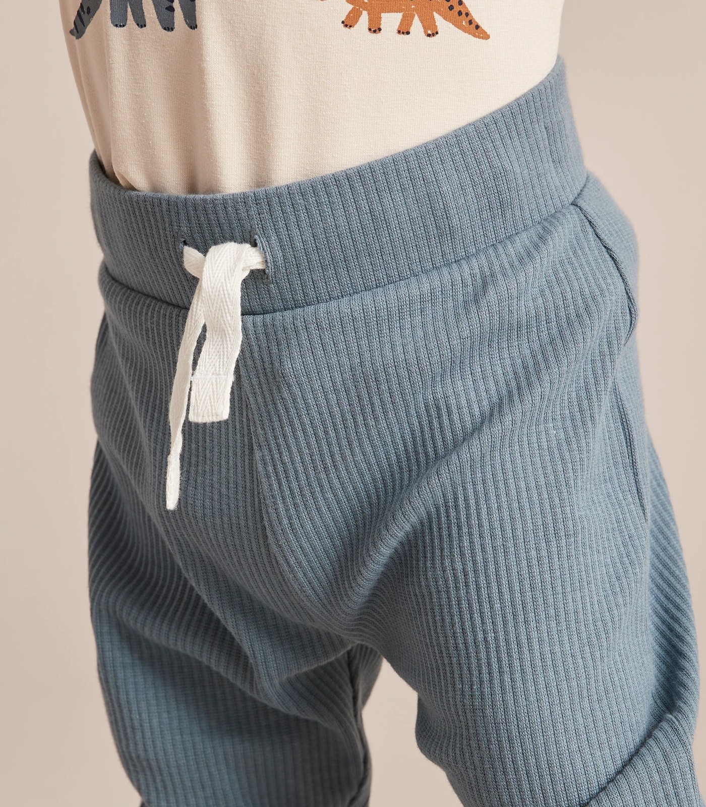 355_67246274_7+21FAA1