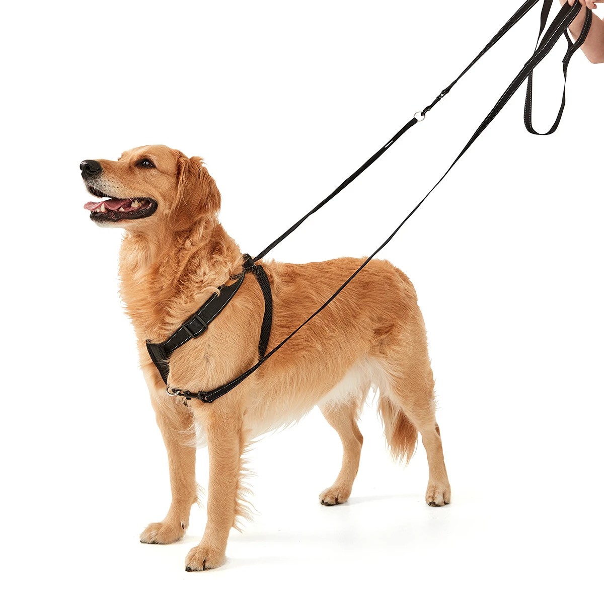 Freedom no outlet pull harness australia