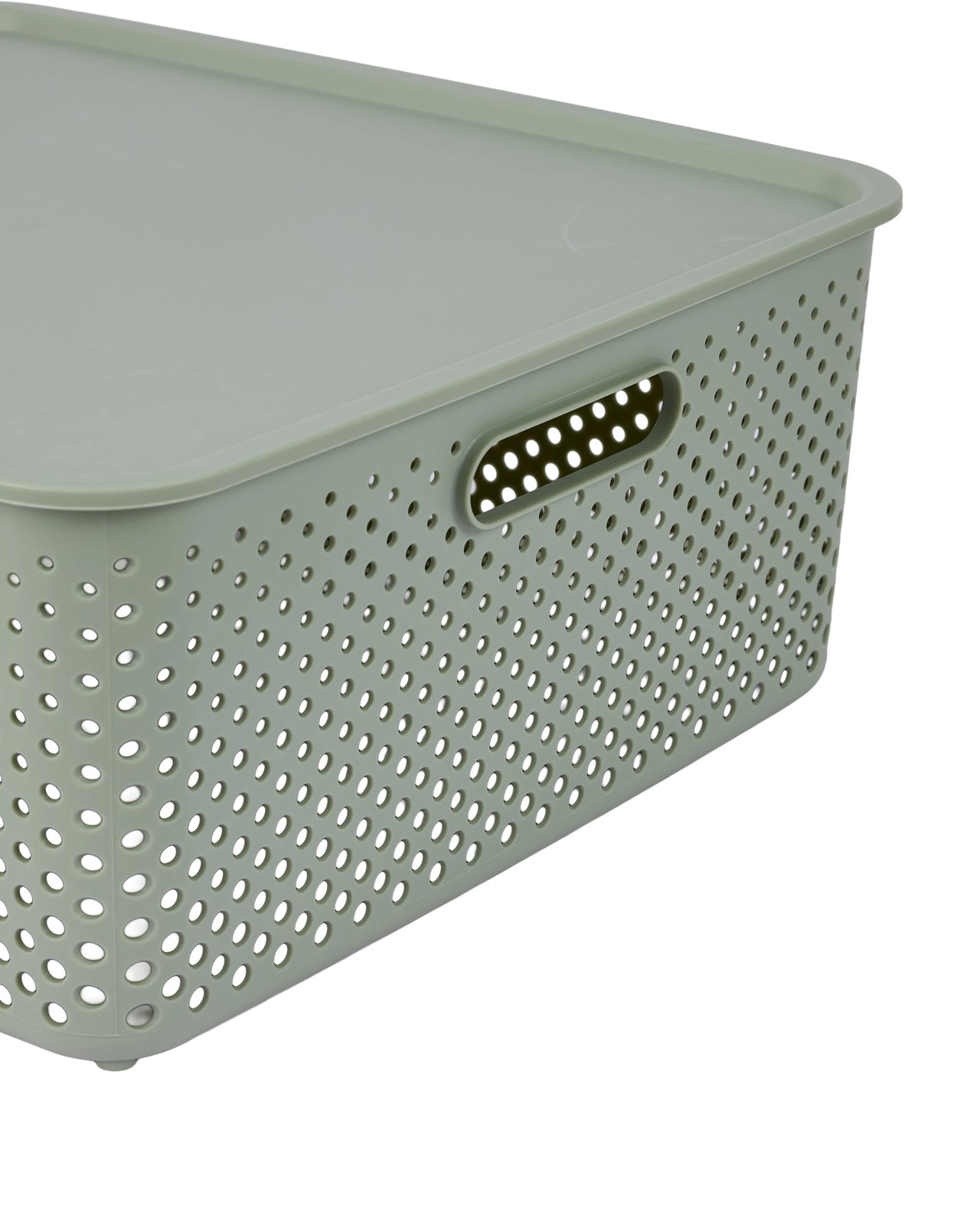 Anko 19L Dot Container - Green 4 of 6