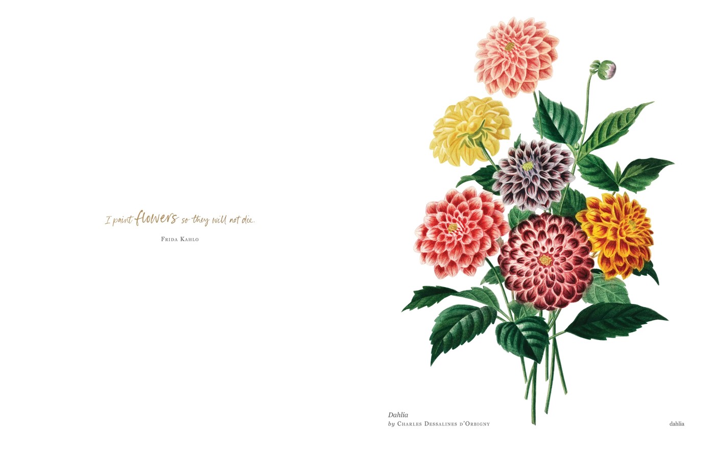 Biblioflora: A Celebration of Floral Beauty in Botanical Art by Jeanne Batiste - Book 6 of 6