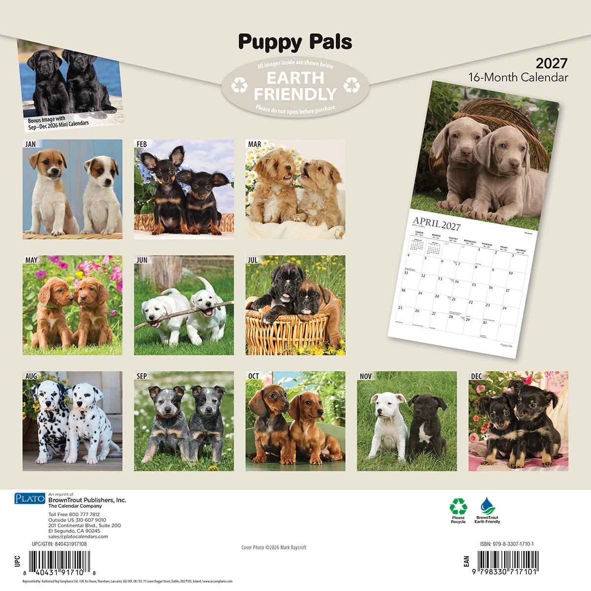 2027 16-Month Calendar - Dogs, Assorted 6 of 6