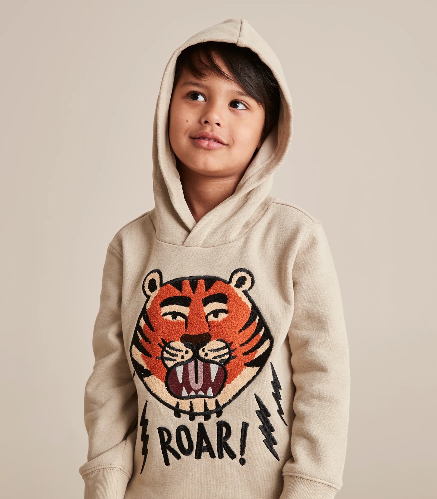 Sweatshirt Boy Animals, Tiger Print Clothing, Tiger Sweatshirt, Hoodies