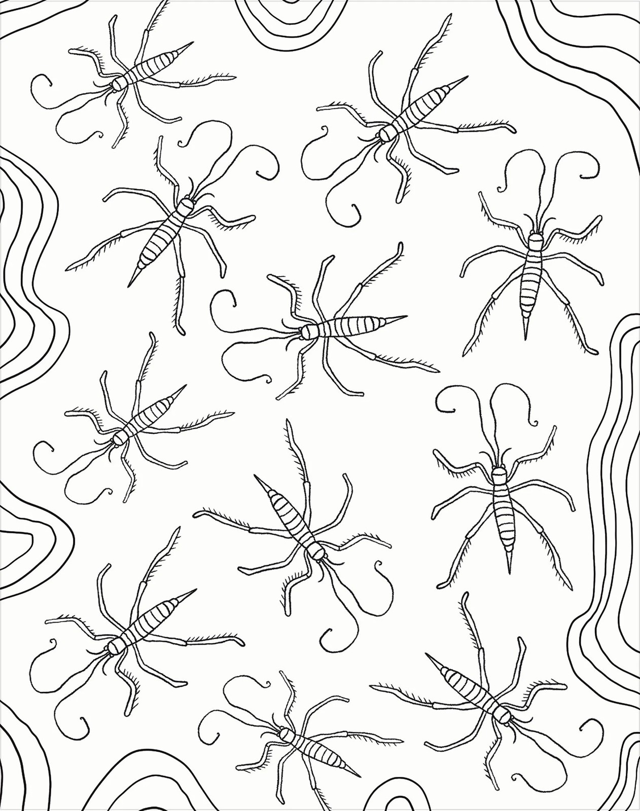 Colour-Your-Own Gallery Wall Art: Bugs - Book 4 of 5