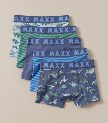 5 Pack Maxx Dinosaur Trunks