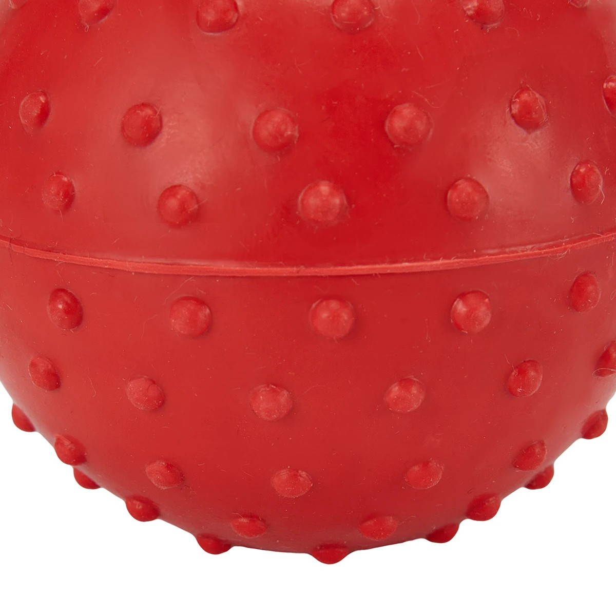 Anko dog shop activity ball