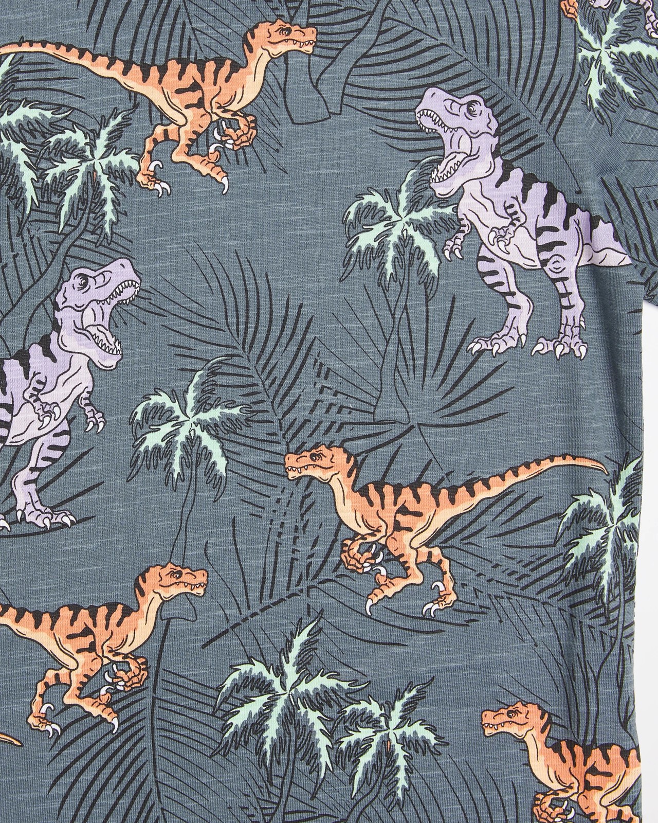 Dinosaur T-shirt 2 of 3