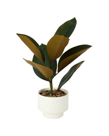 Anko Artificial Rubber Plant in Textured Pot