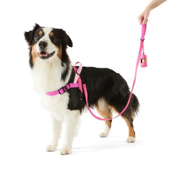 Pet Walking Set, Pink, Large - Anko