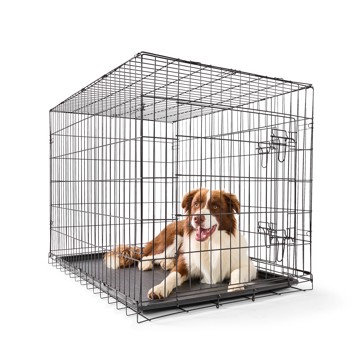 Pet Folding Crate, Extra Large - Anko