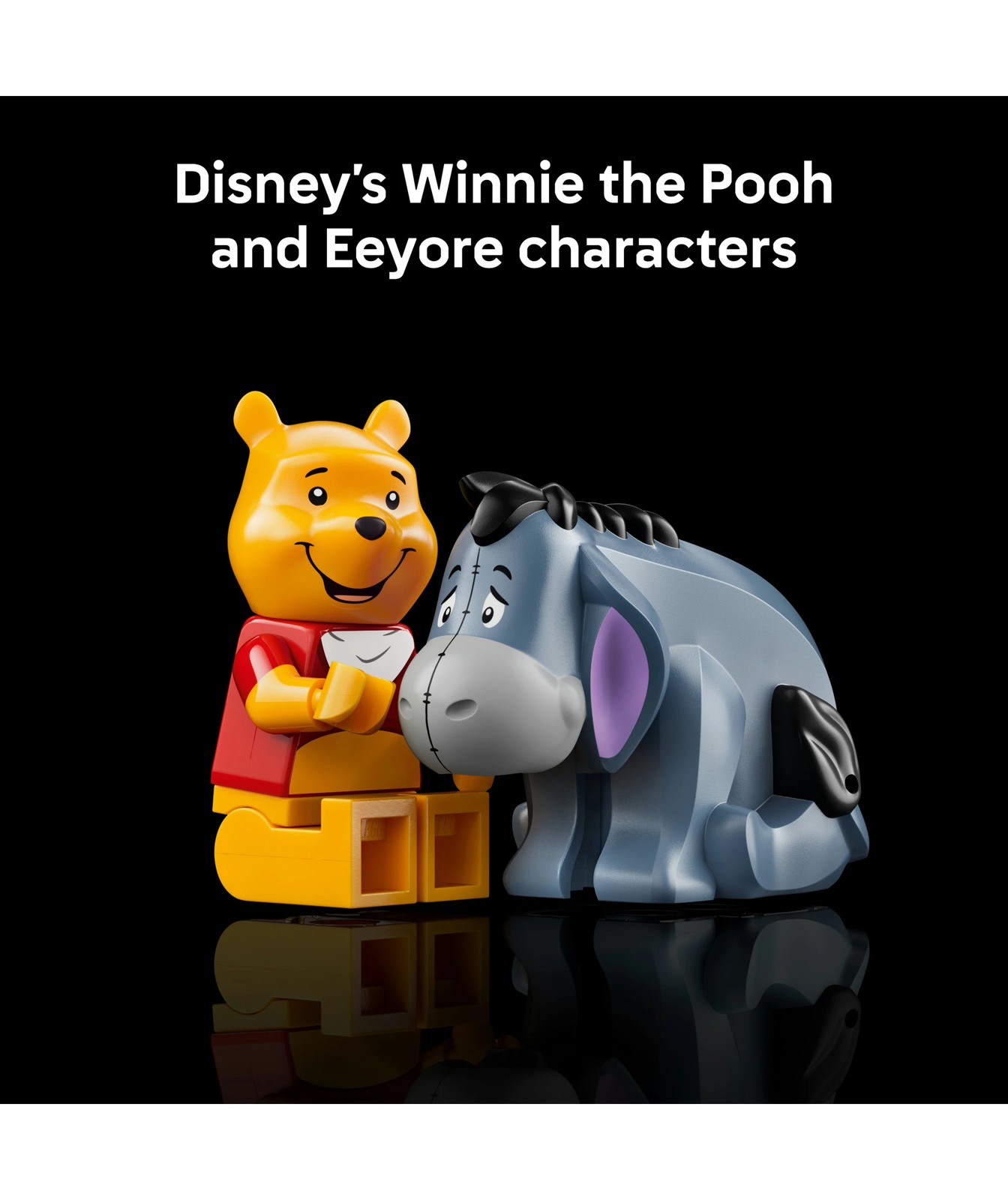 LEGO® Disney Classic Winnie the Pooh 43300 5 of 5