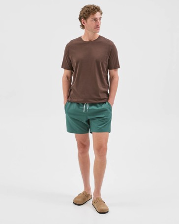 Seersucker Swim Volley Shorts