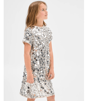 Special Occasion Sequin and Beaded Dress