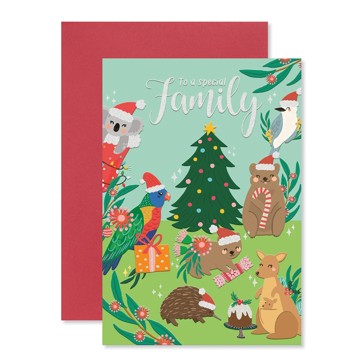 Hallmark Christmas Card - To a Special Family