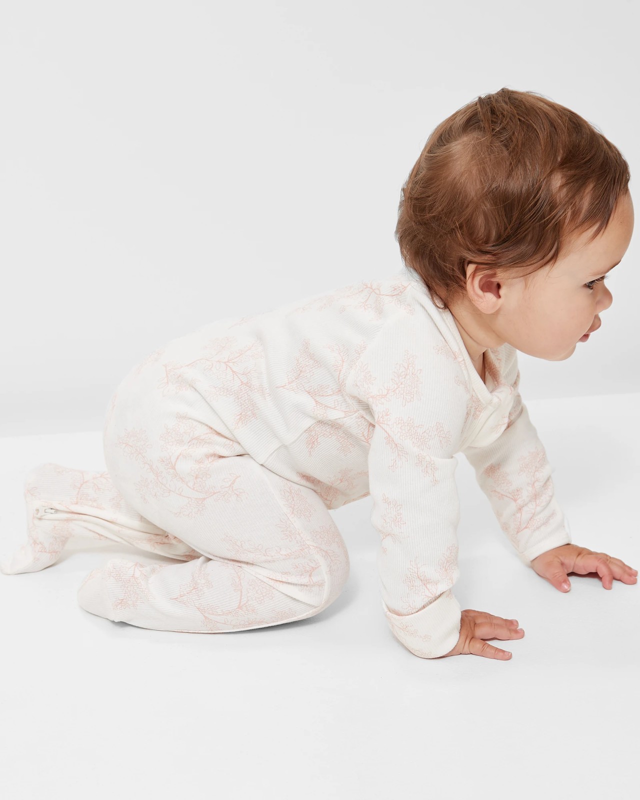 355_67243648_3+273377