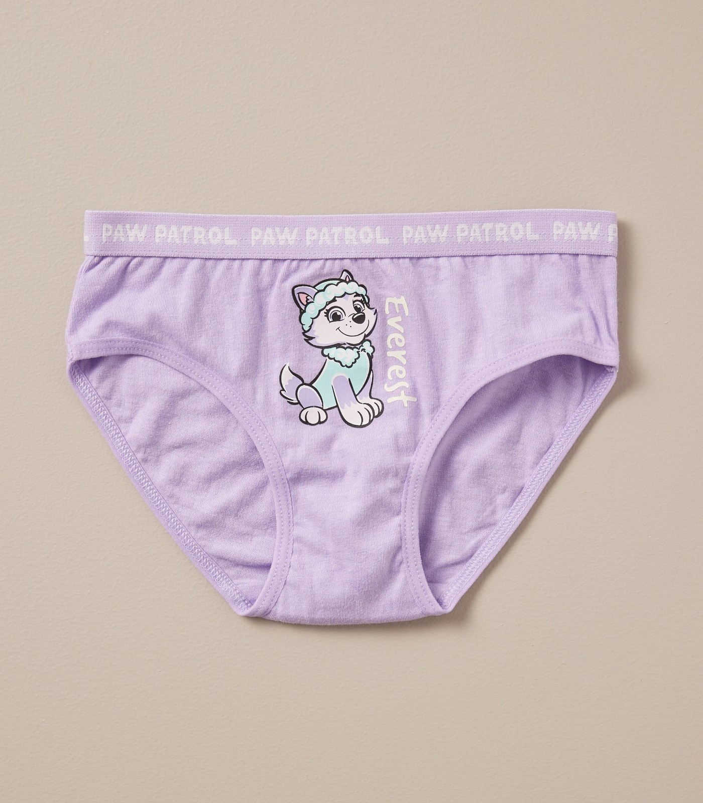 5 Pack Paw Patrol Briefs Gift Set 4 of 5