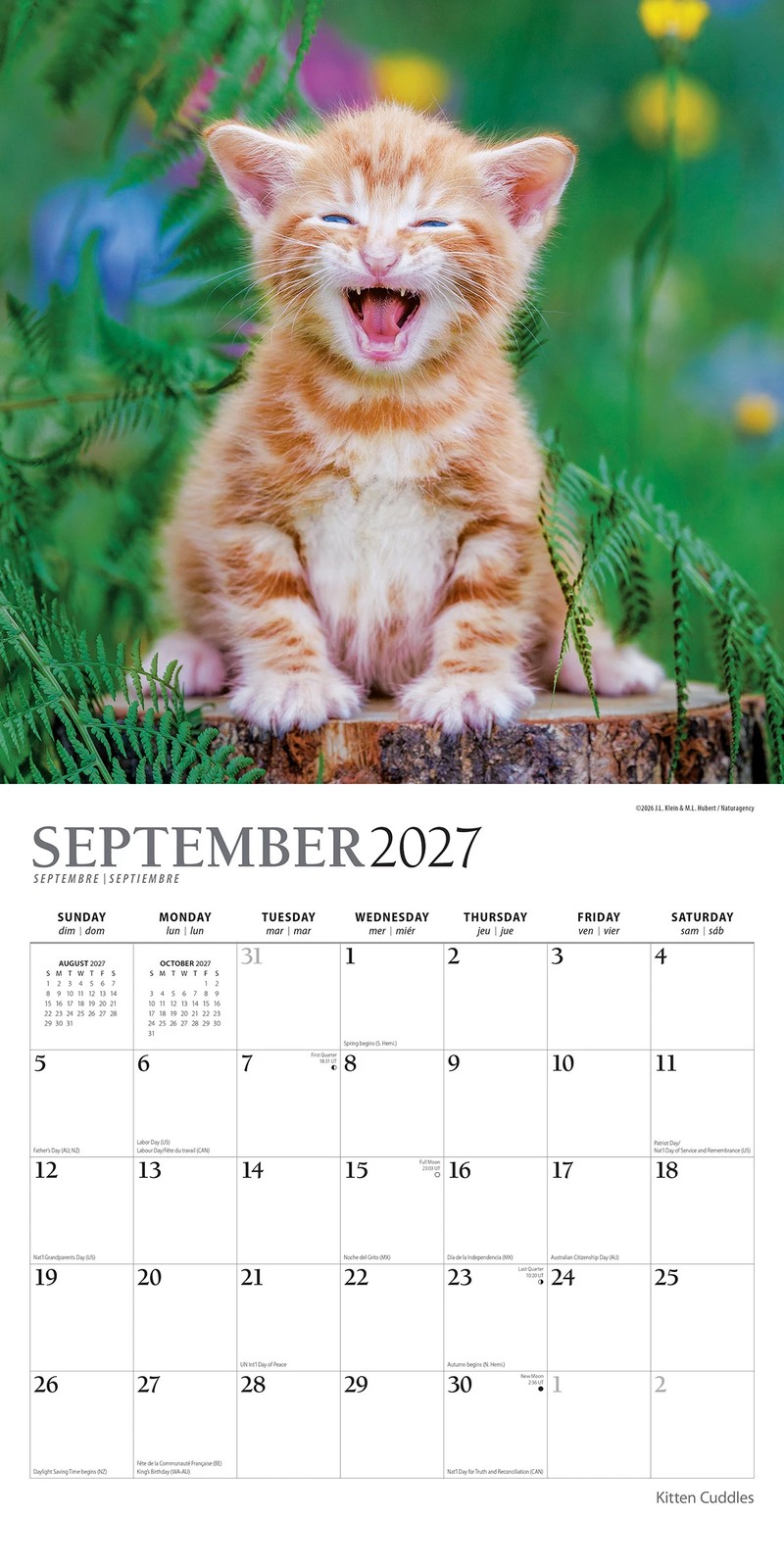 Cats 2027 16-Month Calendar - Assorted 3 of 6