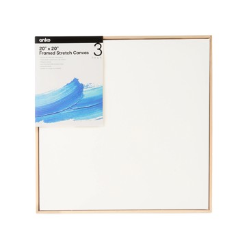 3 Pack 20in. x 20in. Framed Stretch Canvas