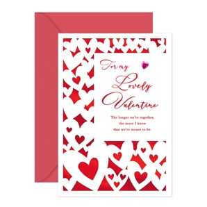 Hallmark Valentine's Day Card - For My Lovely Valentine
