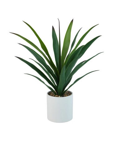Anko Artificial Agave Plant in Pot