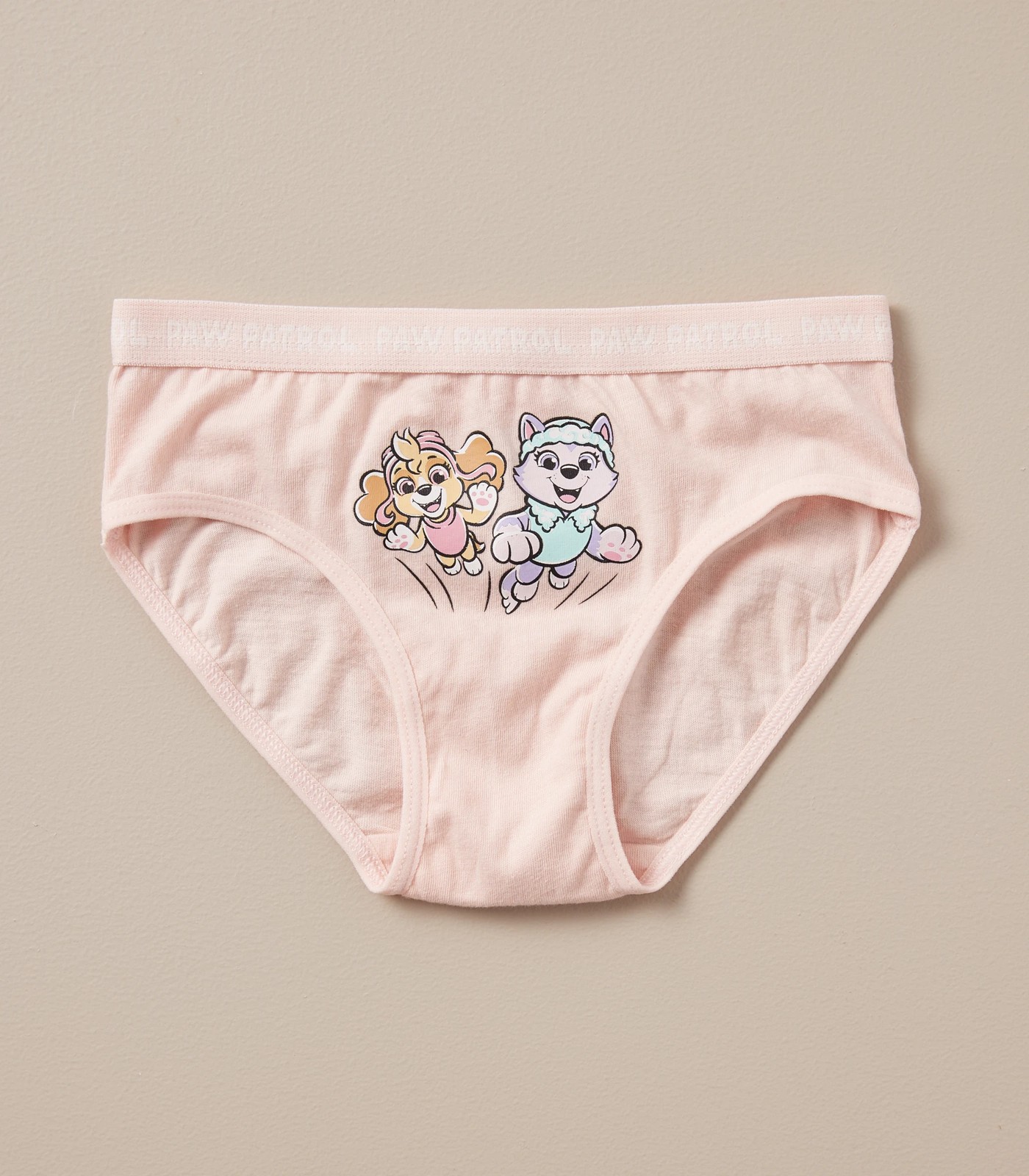 5 Pack Paw Patrol Briefs Gift Set 3 of 5