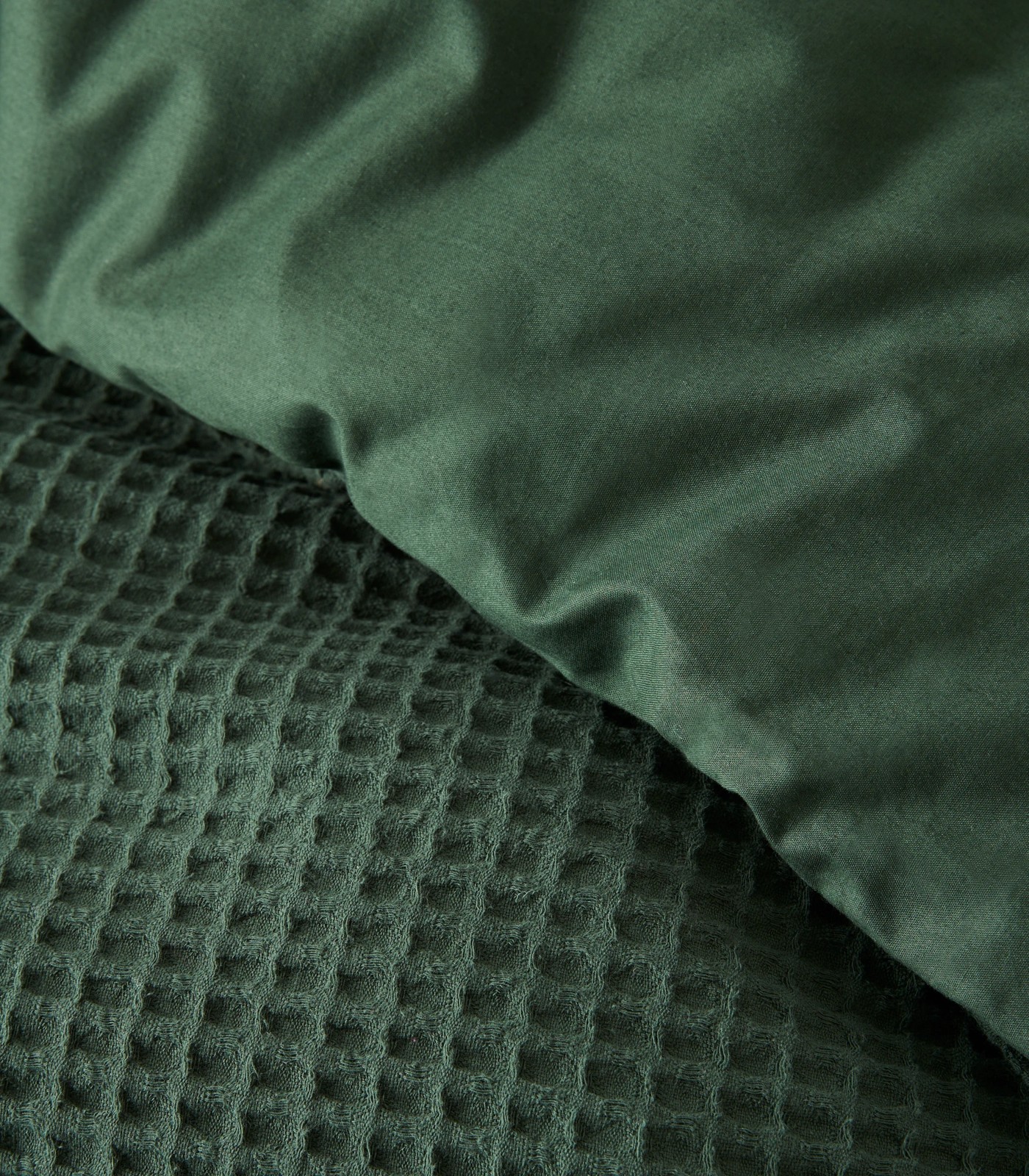 5000283314_darkgreen-IMG-002