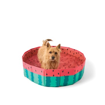 Anko Pet Bath Portable