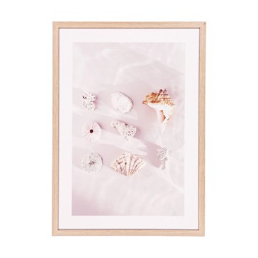 Framed Print - Anko