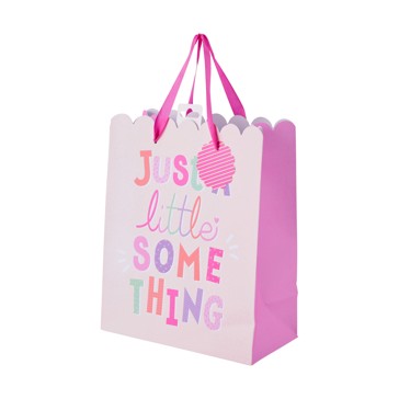 A Little Something Gift Bag, Large - Anko