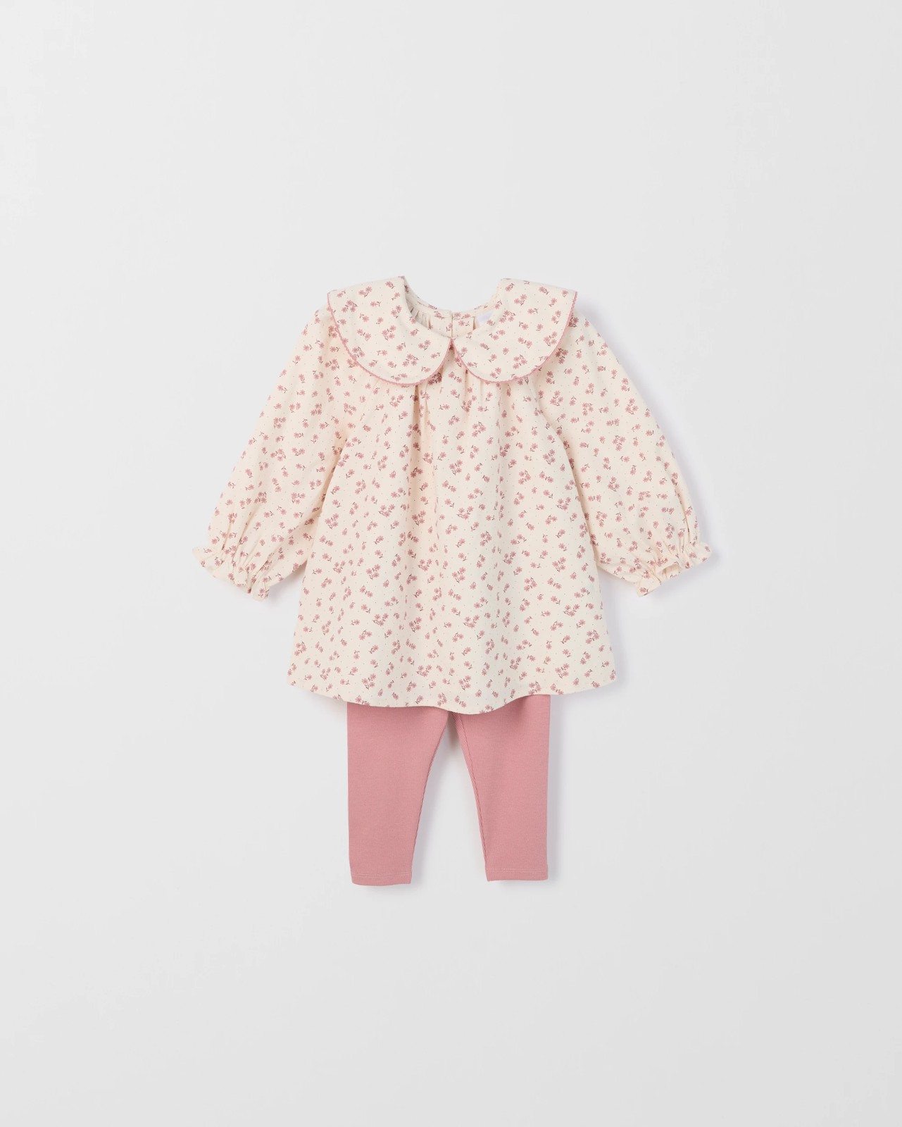 355_72166178_3+355T7216