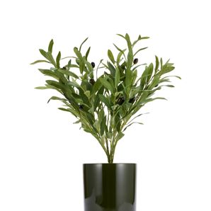 Anko Green Glazed Pot with Saucer product image