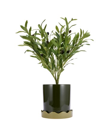 Anko Green Glazed Pot with Saucer