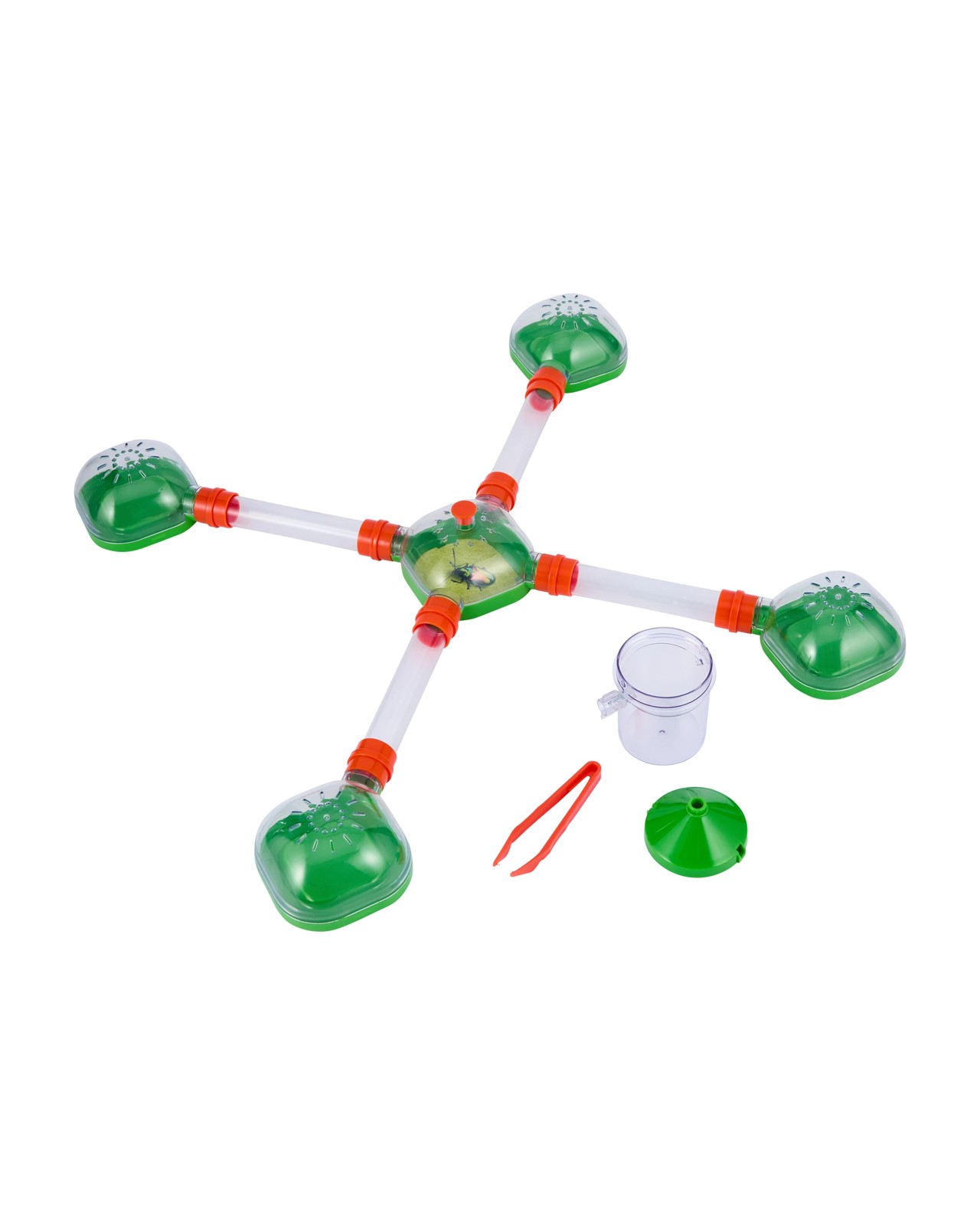 Anko Bug City 2 of 5