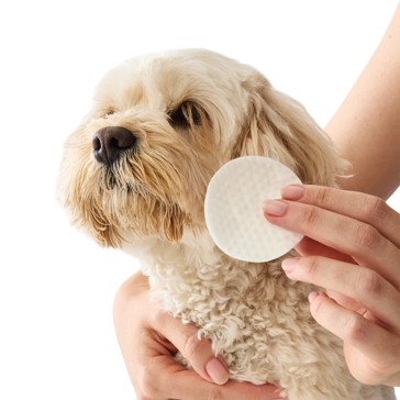 100 Pack Pet Ear & Eye Wipes - Anko