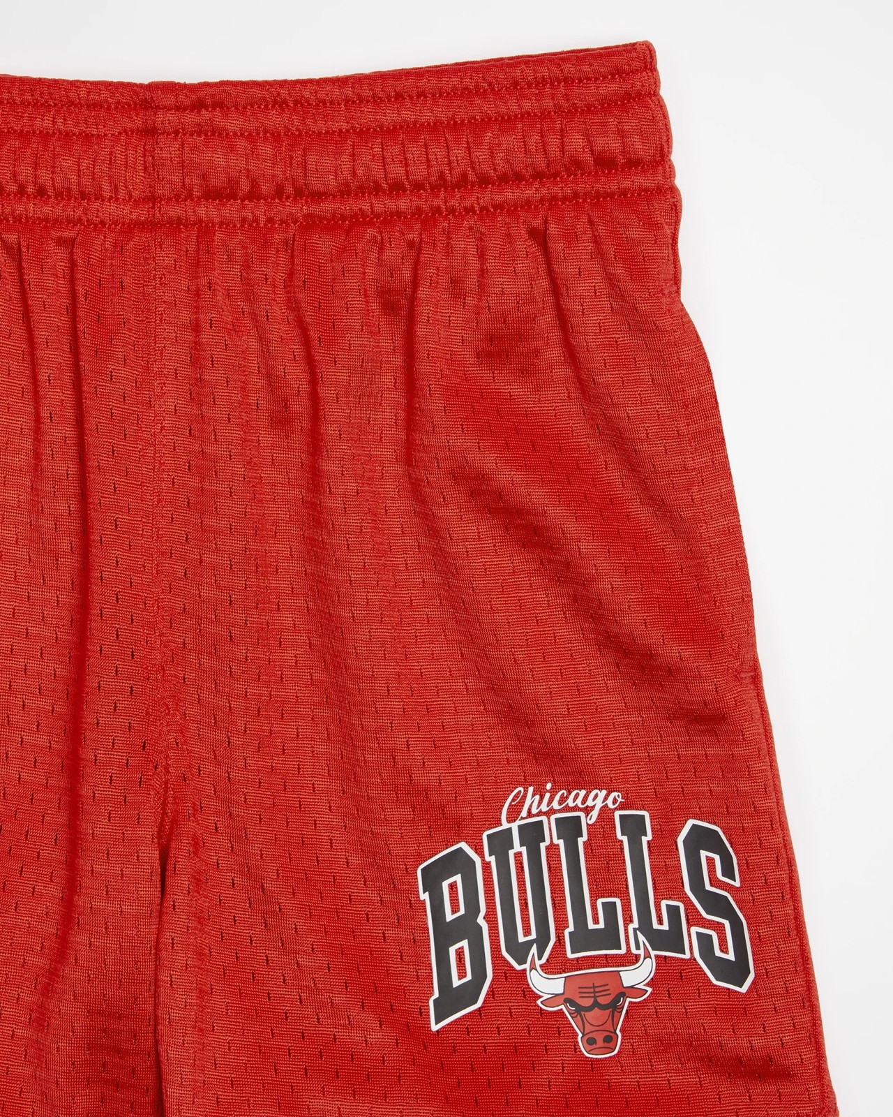 Chicago Bulls Vintage 90s Champion Black Basketball Shorts 