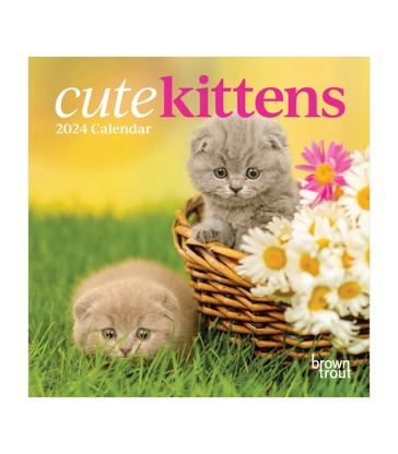 Cute Kittens 2024 Mini Calendar