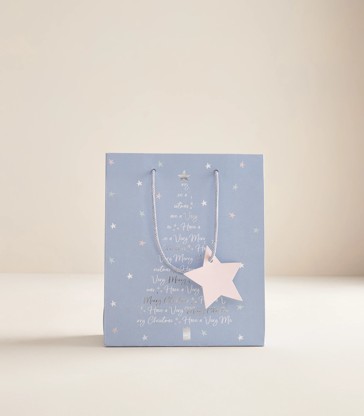 Christmas Gift Bag - Medium