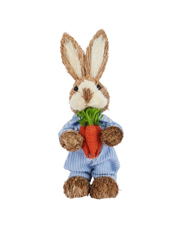 Anko Small Boy Sisal Bunny