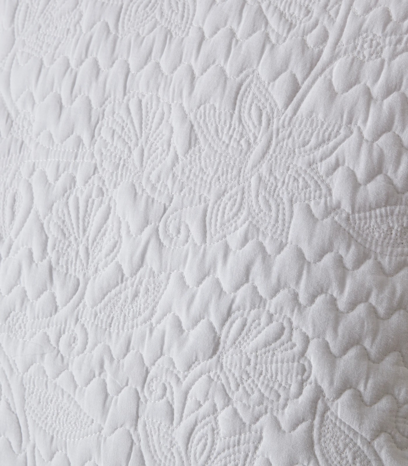 5000270142_white-IMG-002