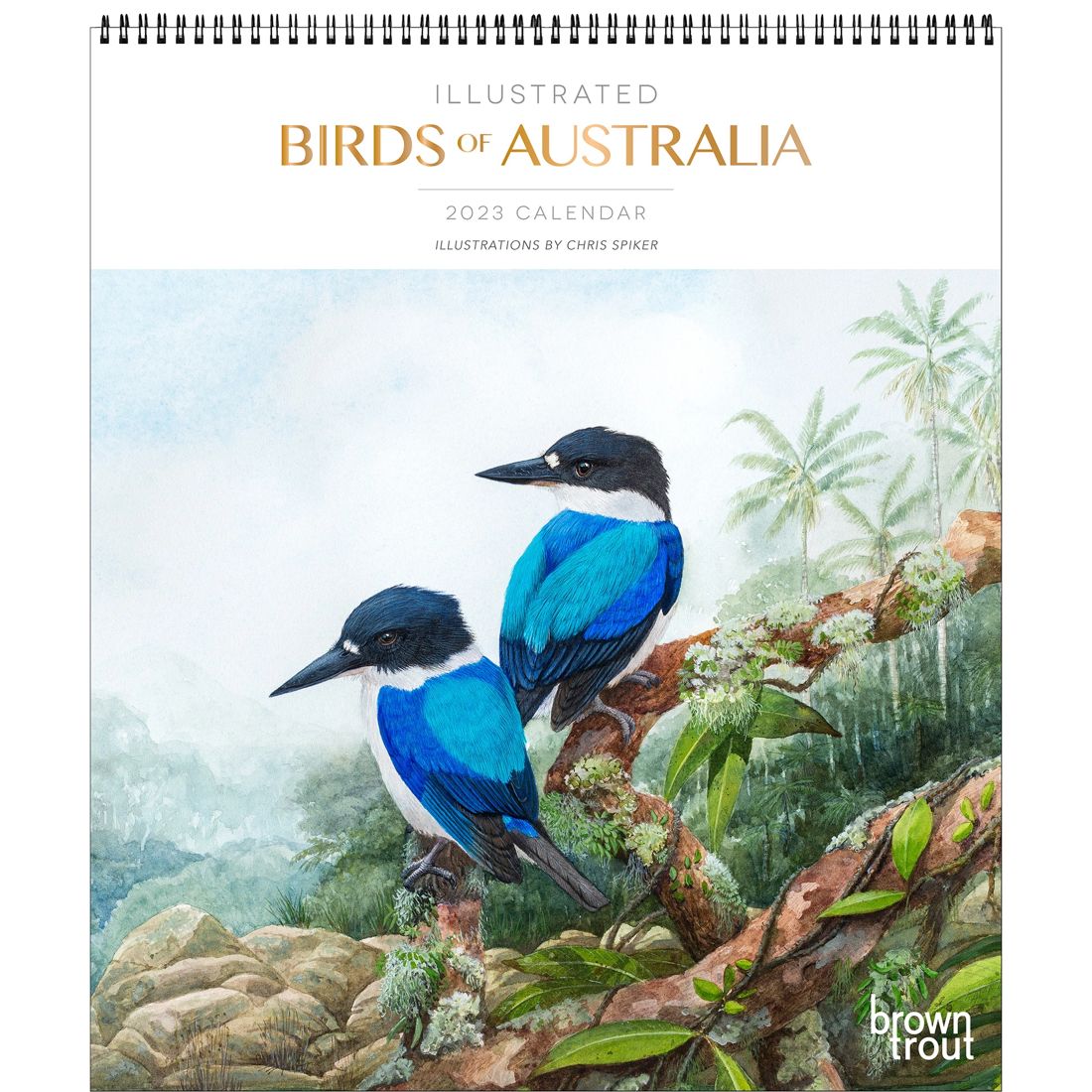 Illustrated Birds Of Australia 2023 Deluxe Calendar Target Australia