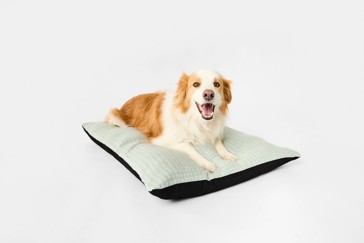 Pet Bed Rectangle Fleece, Large - Anko