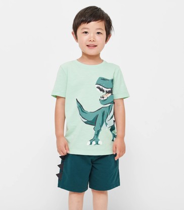 Dinosaur T-shirt and Short 2 Piece Set