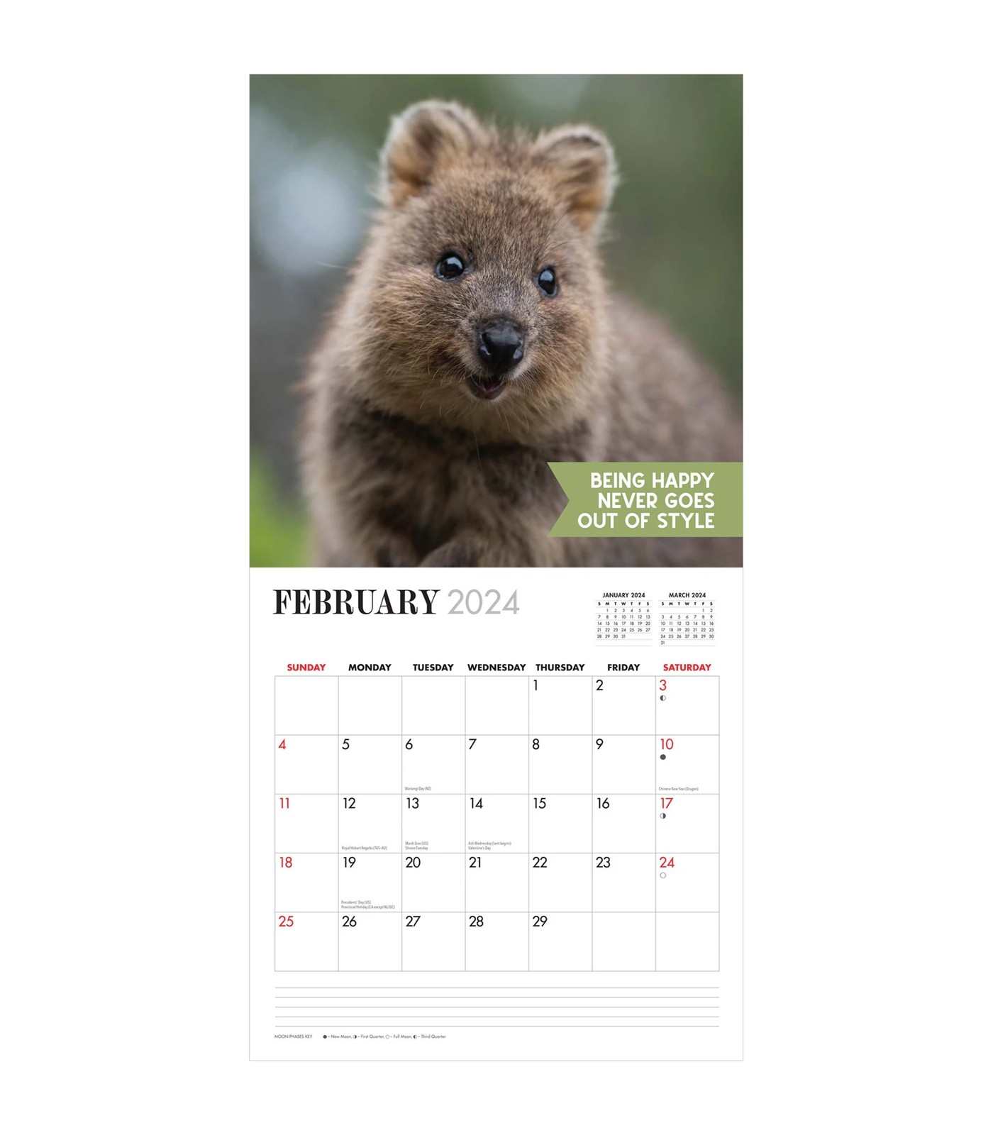 Quokka Calendar 2025 