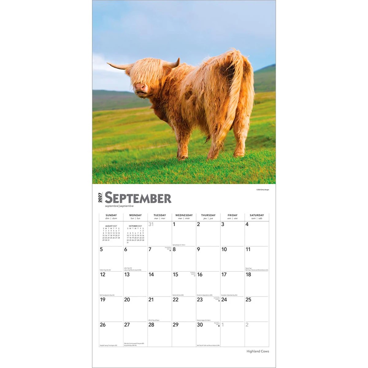 Highland Cows 2027 16-Month Calendar 3 of 4