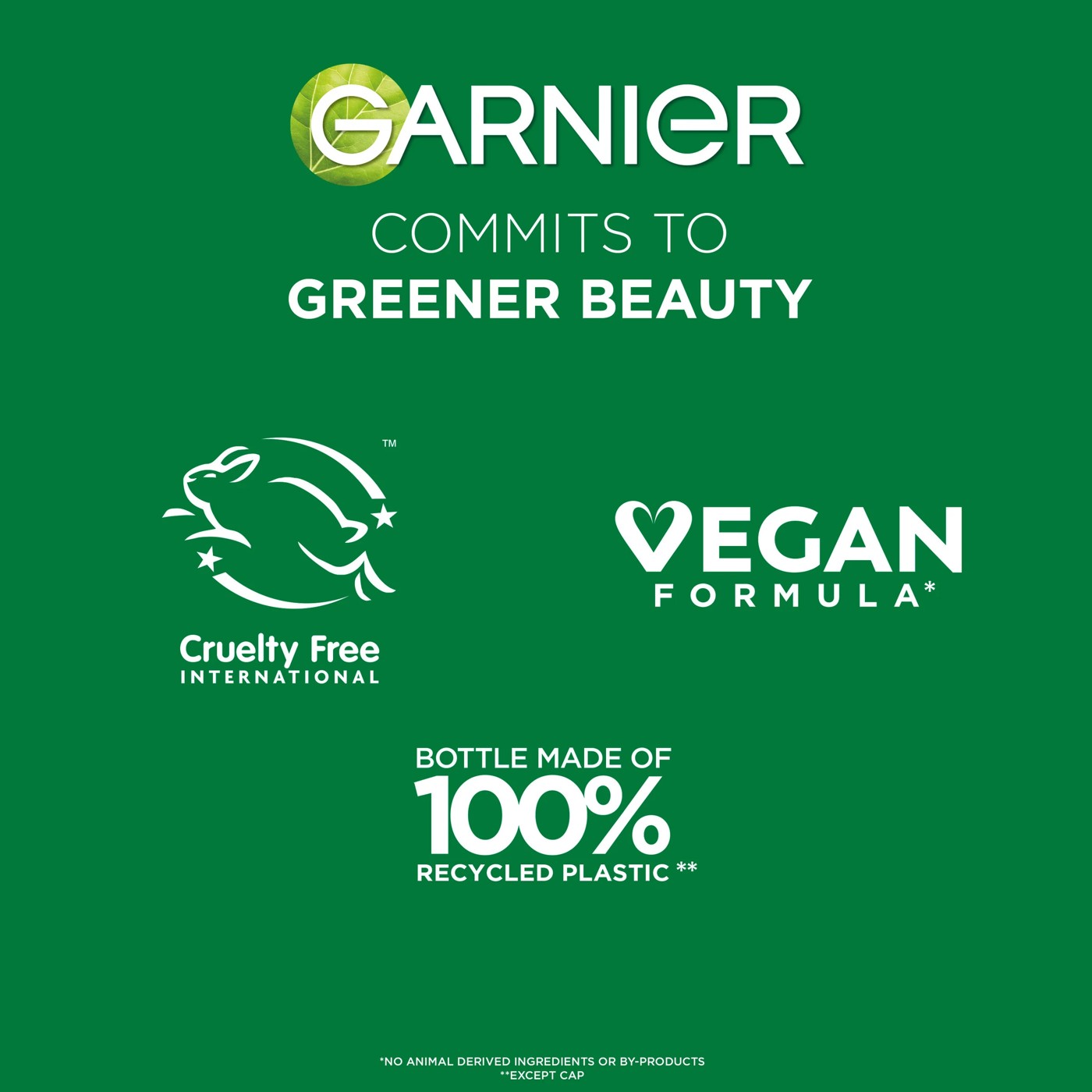Garnier Fructis Sleek & Shine Anti-Frizz Serum 6 of 6