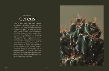 Plantopedia: The Definitive Guide to Houseplants by Lauren Camilleri and Sophia Kaplan - Book