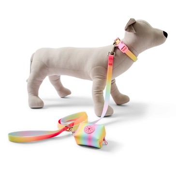 Pet Rainbow Walking Set, Large - Anko